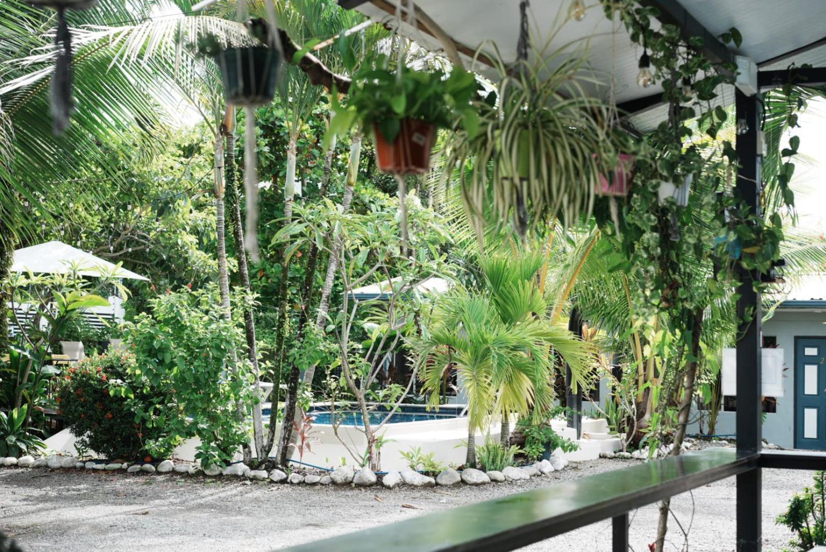 Rooms & Pool Macaws Увіта Екстер'єр фото